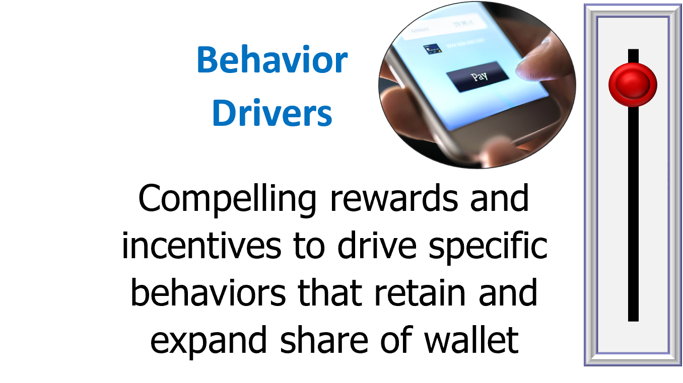 Loyalty Consulting: Behavior Drivers